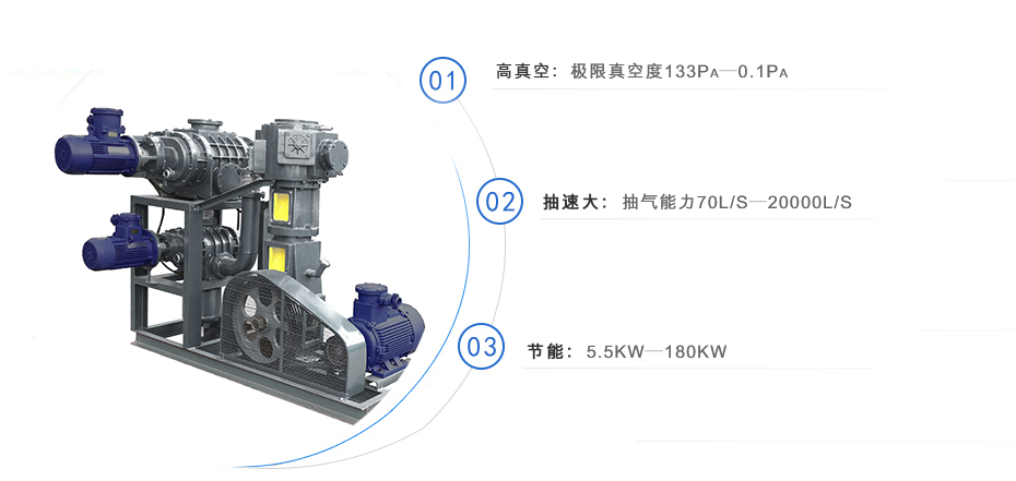 羅茨泵+無(wú)油往復真空泵機組